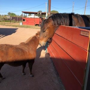 Meet your Posher, Ko